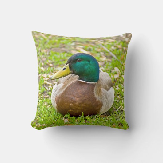 De eend meneer Mallard Kussen (Voorkant)