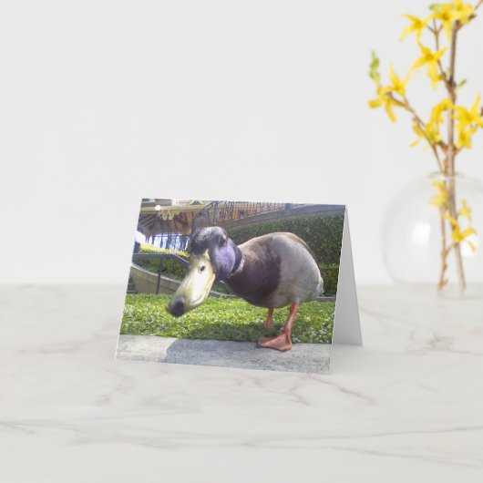 De "eend ontmoet " kaart (Gele Bloem)