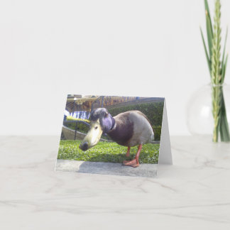 De "eend ontmoet " kaart