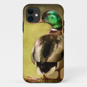 De Eend van de wilde eend iPhone 11 Hoesje