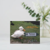 De Eend van de Zaal van de rust Briefkaart (Staand voorkant)