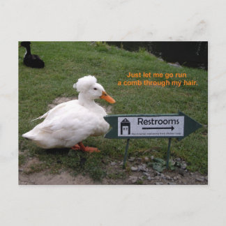 De Eend van de Zaal van de rust Briefkaart
