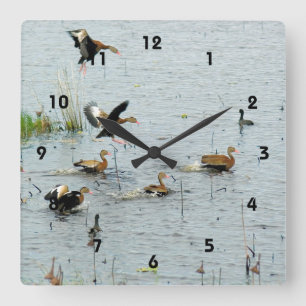 De eenden acrylwandklok vierkante klok