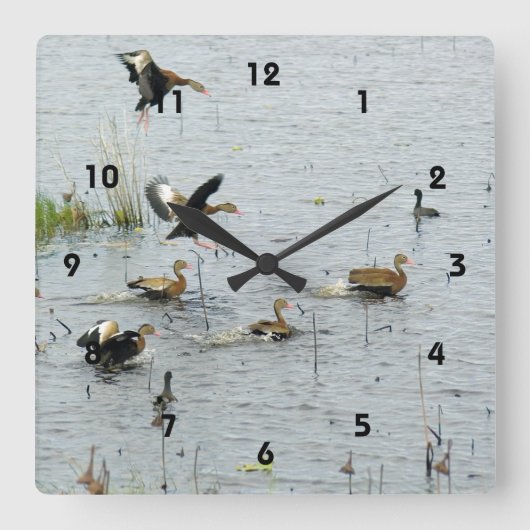 De eenden acrylwandklok vierkante klok (Voorkant)