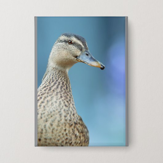 de eenden  button (Voorkant)