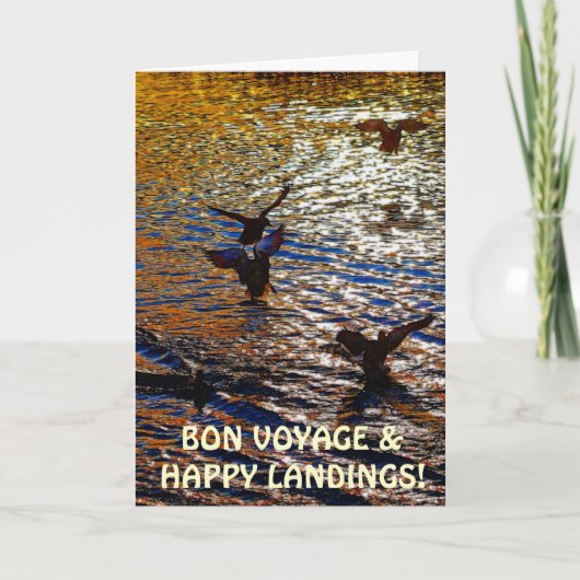 De EENDEN die van de WILDE EEND het Wenskaart van Kaart (Voorkant)