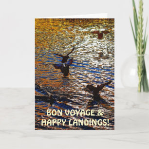 De EENDEN die van de WILDE EEND het Wenskaart van Kaart