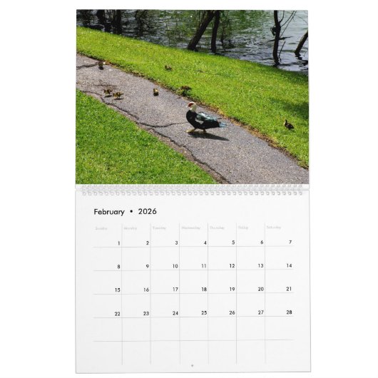 DE EENDENPATROUILLE, KALENDER 2024 (Feb 2026)