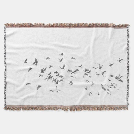 De eenvoud van Sandhills Deken (Voorkant)