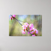 De eenvoudige schoonheid van Sakura Flowers in Spr Canvas Afdruk (Voorkant)