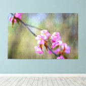 De eenvoudige schoonheid van Sakura Flowers in Spr Canvas Afdruk (Insitu (Houten vloer))