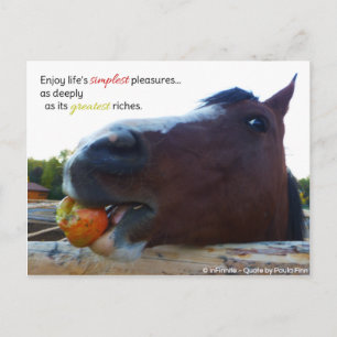 De eenvoudigste geneugten van het leven... briefkaart