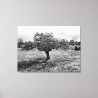 De eenzame boom canvas afdruk