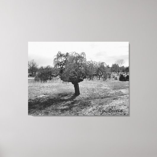 De eenzame boom canvas afdruk (Voorkant)