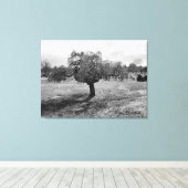 De eenzame boom canvas afdruk (Insitu (Houten vloer))