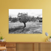 De eenzame boom canvas afdruk (Insitu (Woonkamer))