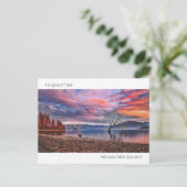 De eenzame boom - Wanaka, Nieuw-Zeeland Briefkaart (Staand voorkant)