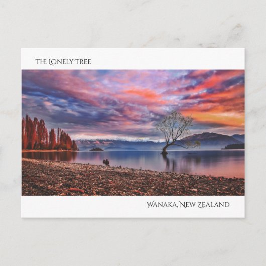 De eenzame boom - Wanaka, Nieuw-Zeeland Briefkaart (Voorkant)