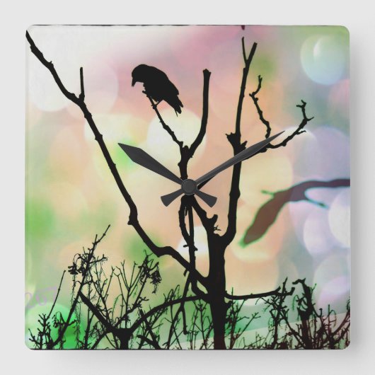 De eenzame Klok van de Muur van de Crow (Voorkant)