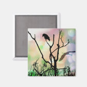 De eenzame Krow Magnet (Voorkant / Achterkant)