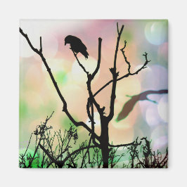 De eenzame Krow Magnet