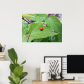 de eenzame ladybug poster (Thuiskantoor)