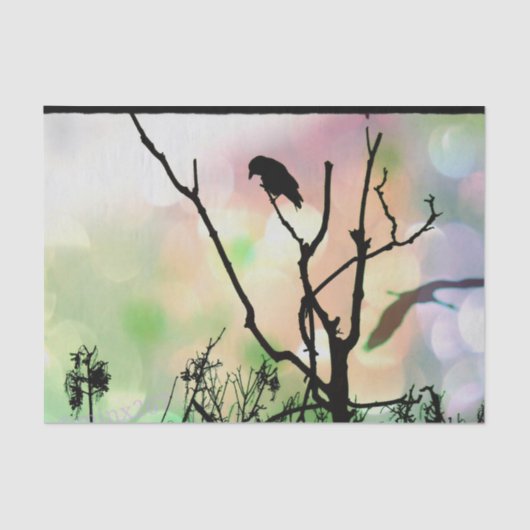 De eenzame rij tissuepapier (Voorkant)