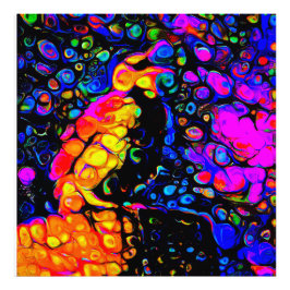 De eenzame vogel 4: vloeibare kunststijl foto afdruk