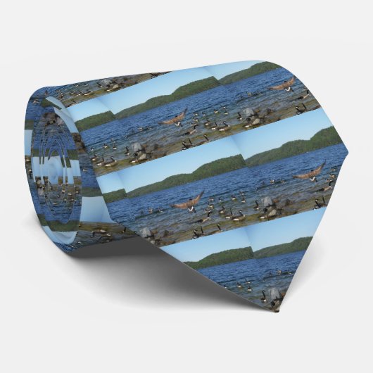 De eerste gans om te vliegen, de ganzen op het Arr Stropdas (Opgerold)