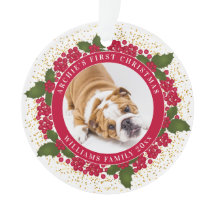 De eerste gepersonaliseerde huisdierenfoto van uw