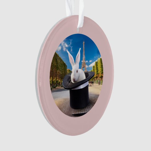 De eerste kerst van het konijn ornament (voorkant)