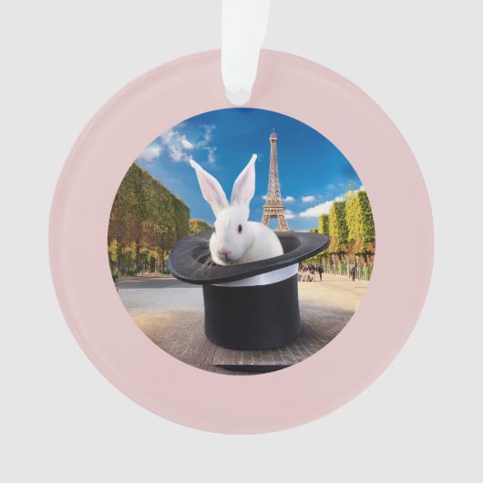 De eerste kerst van het konijn ornament (voorkant)