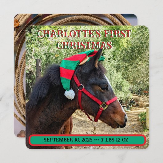 De eerste kerstaankondiging van de baby (Voorkant / Achterkant)