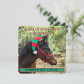 De eerste kerstaankondiging van de baby (Staand voorkant)