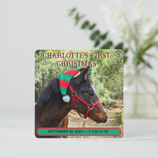 De eerste kerstaankondiging van de baby (Staand voorkant)