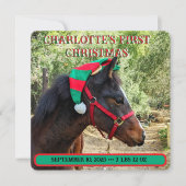 De eerste kerstaankondiging van de baby (Voorkant)