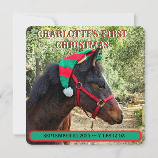 De eerste kerstaankondiging van de baby (Voorkant)