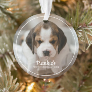 De eerste kerstfoto van de moderne Lijst Pet Ornament