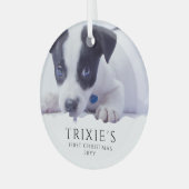 De eerste kerstfoto van de moderne minimalistische glas ornament (Voorkant links)