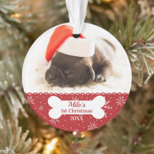 De eerste kerstfoto van Dog is eenvoudig Ornament