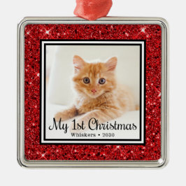 De eerste kerstfoto van Kitten Metalen Ornament