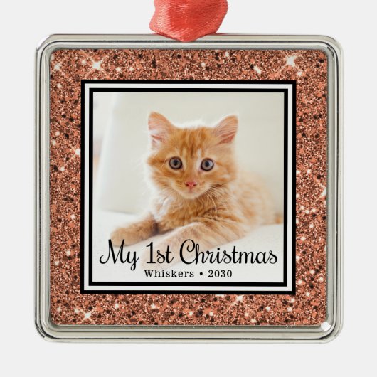 De eerste kerstfoto van Kitten Metalen Ornament (Voorkant)