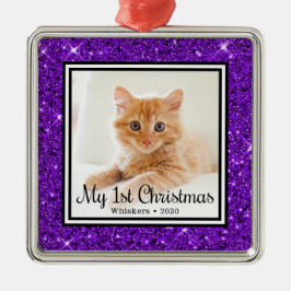 De eerste kerstfoto van Kitten Metalen Ornament