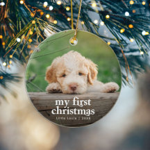 De eerste kerstfoto van Modern Dog