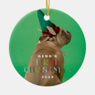De eerste kerstfoto van Pet Dog Ornament