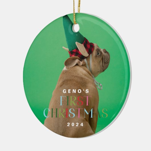 De eerste kerstfoto van Pet Dog Ornament (Links)