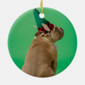 De eerste kerstfoto van Pet Dog Ornament (Achterkant)
