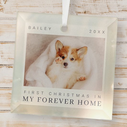 De eerste Kerstmis van het gezelschap in de eeuwig Glas Ornament