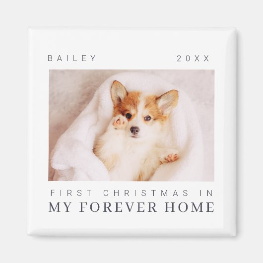 De eerste Kerstmis van het gezelschap in de eeuwig Magneet (Voorkant)