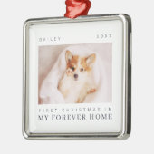 De eerste Kerstmis van het gezelschap in de eeuwig Metalen Ornament (Links)